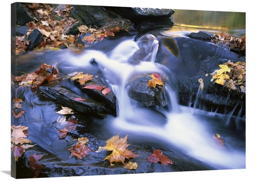 Global Gallery GCS-452019-3040-142 30 x 40 in. Autumn Leaves in Little