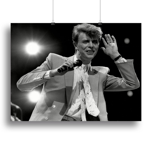 David Bowie in concert Canvas Print or Poster