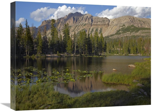 Global Gallery GCS-396005-1824-142 18 x 24 in. Butterfly Lake, Uin