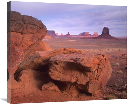 Global Gallery GCS-396242-30-142 30 in. Mittens, North Window,