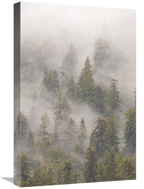 Global Gallery GCS-395407-1624-142 16 x 24 in. Mist in Tongass Nationa