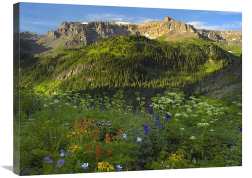 Global Gallery GCS-395944-2432-142 24 x 32 in. Wildflower Meadow Looki