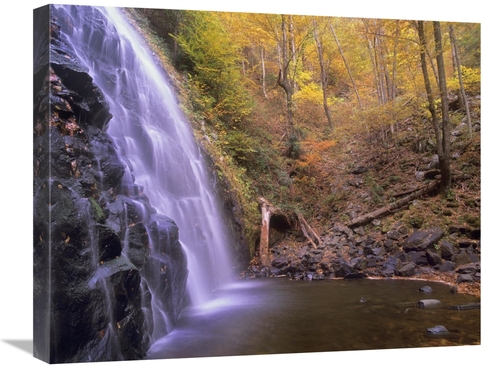 Global Gallery GCS-397085-2024-142 20 x 24 in. Crabtree Falls Cascadin