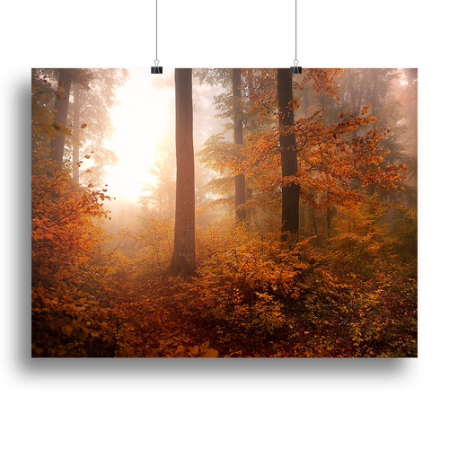 Autumn Trees Canvas Print or Poster