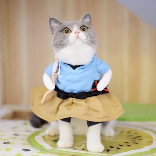 Funny Dog Cat Costumes Urashima Taro Cosplay Suit