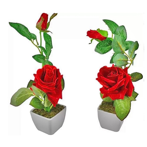 Single Flower with Vase (2 Piece)