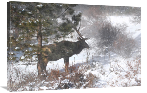 Global Gallery GCS-486480-36-142 36 in. Shelter From the Storm Art Pri