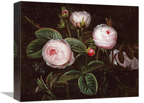 Global Gallery GCS-268166-16-142 16 in. Pink Roses Art Print - Johan L