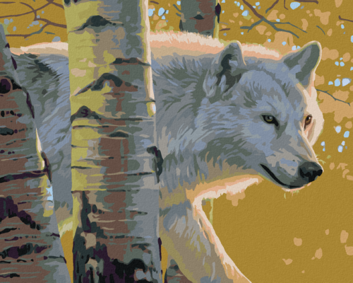 Zuty - Paint by Numbers - WHITE WOLF AND BIRCH TREES (AL AGNEW), 40x50