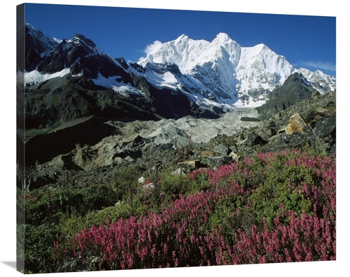 Global Gallery GCS-463210-36-142 36 in. Wildflowers & Kangshung Glacie