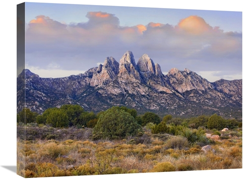 Global Gallery GCS-396216-1824-142 18 x 24 in. Organ Mountains, Ch