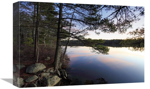 Global Gallery GCS-397611-1218-142 12 x 18 in. Forest Along Lake Shore