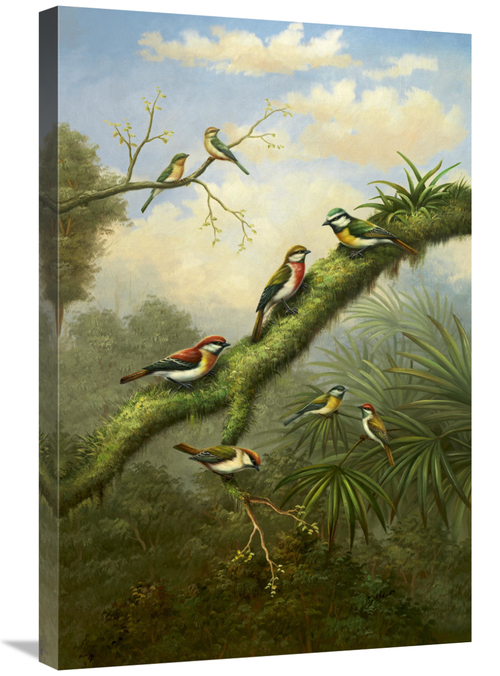 Global Gallery GCS-132521-2030-142 20 x 30 in. Birds of Plenty Art Pri