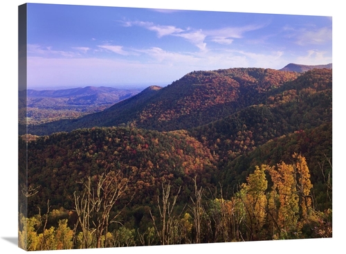 Global Gallery GCS-452275-2432-142 24 x 32 in. Blue Ridge Mountain Ran