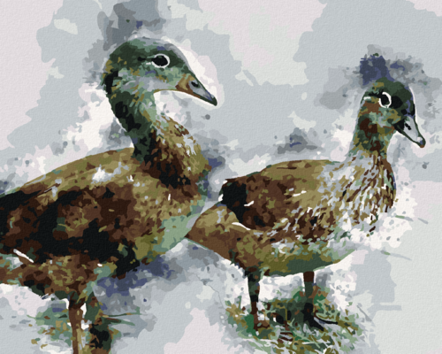 Paint by Numbers - YOUNG DUCKS