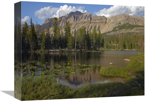 Global Gallery GCS-396005-1216-142 12 x 16 in. Butterfly Lake, Uin