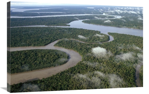 Global Gallery GCS-452783-2436-142 24 x 36 in. Aerial of Tropical Rain