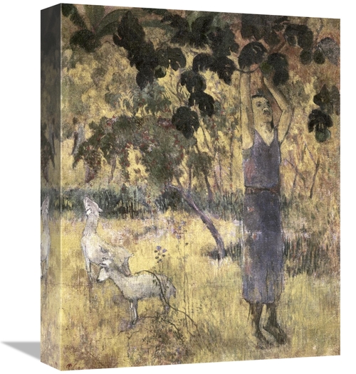 Global Gallery GCS-277639-16-142 16 in. Man Gathering Fruit Cuisine Ar