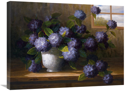 Global Gallery GCS-119544-2432-142 24 x 32 in. Hydrangea Blossoms II A