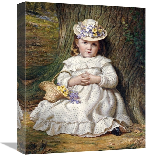 Global Gallery GCS-267290-16-142 16 in. Primroses & Bluebells Art Prin