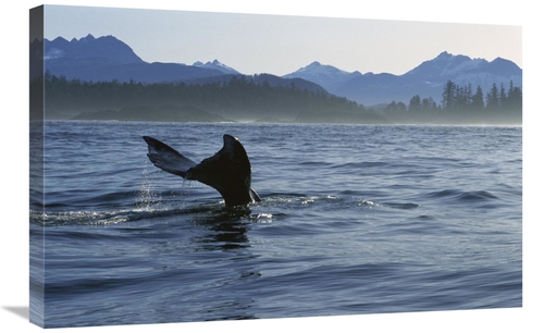 Global Gallery GCS-450811-2030-142 20 x 30 in. Gray Whale Tail, Cl