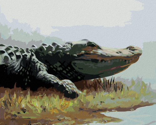 Zuty - Paint by Numbers - ALLIGATOR LYING IN THE GRASS BY THE WATER