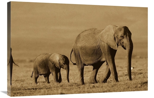 Global Gallery GCS-453681-2436-142 24 x 36 in. African Elephant Mother