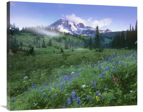 Global Gallery GCS-396792-36-142 36 in. Incoming Fog on Mount Rainier&