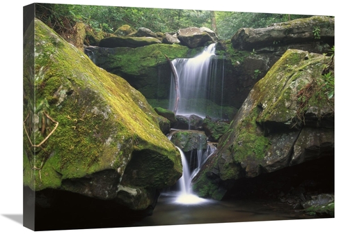 Global Gallery GCS-452031-1824-142 18 x 24 in. Cascade Near Grotto Fal