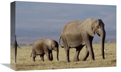 Global Gallery GCS-451977-1218-142 12 x 18 in. African Elephant Mother