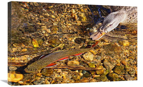 Global Gallery GCS-486590-30-142 30 in. The Chase Art Print - Vic Sche