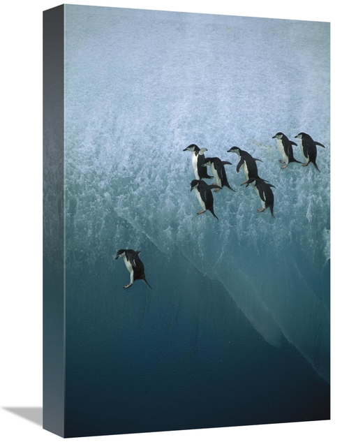 Global Gallery GCS-395906-1218-142 12 x 18 in. Chinstrap Penguins Grou