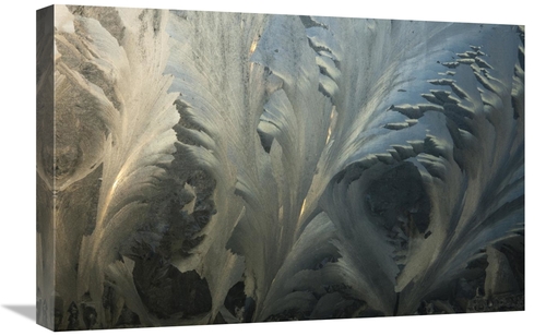 Global Gallery GCS-397756-1624-142 16 x 24 in. Frost Crystal Patterns 