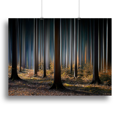Mystic Wood Canvas Print or Poster