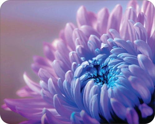 Wilderness Flowers Floral Art  Mouse Pad  Wild Flowers