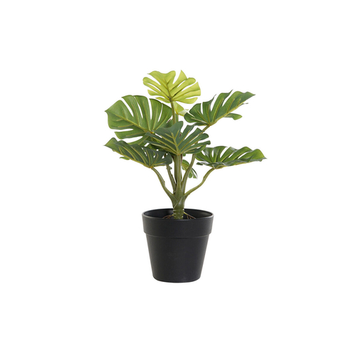 Decorative Plant DKD Home Decor PVC polypropylene 20 x 20 x 30 cm