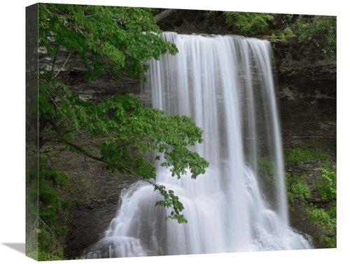 Global Gallery GCS-396492-22-142 22 in. Cascading Waterfall in Jeffers