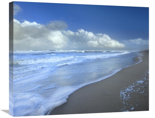 Global Gallery GCS-396542-2228-142 22 x 28 in. Storm Cloud Over Beach&