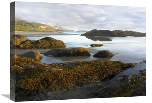 Global Gallery GCS-396653-1824-142 18 x 24 in. Seaweed Covered Rocks E