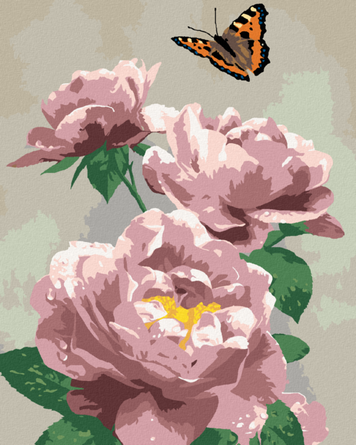 Paint by Numbers - BUTTERFLY AND PINK ROSES (HOWARD ROBINSON)