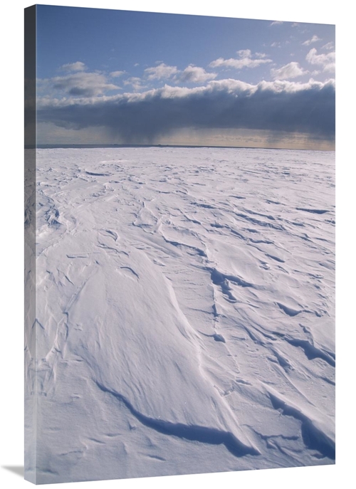 Global Gallery GCS-451548-2436-142 24 x 36 in. Ross Ice Shelf, Ros