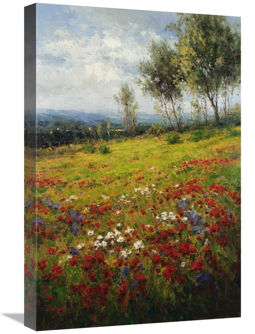 Global Gallery GCS-132427-1624-142 16 x 24 in. Wildflowers Art Print -