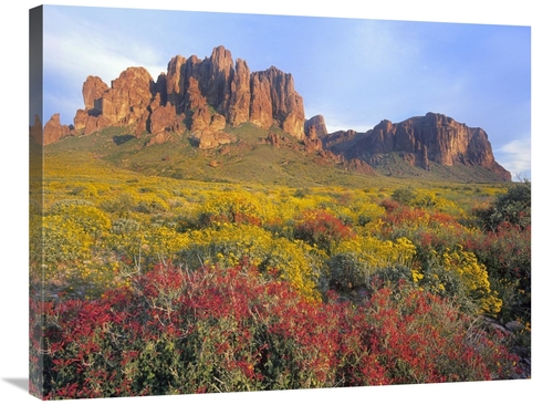 Global Gallery GCS-396483-2432-142 24 x 32 in. Chuparosa & Brittlebush