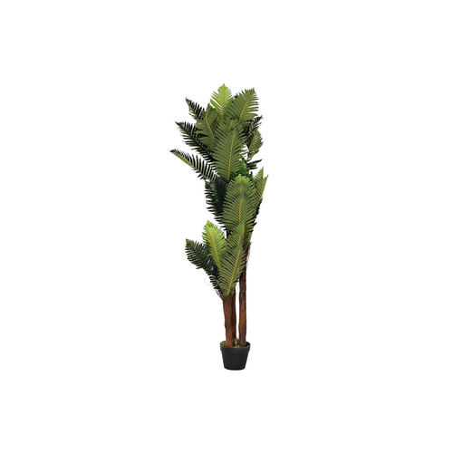 Decorative Plant DKD Home Decor 40 x 40 x 150 cm Polyethylene Green