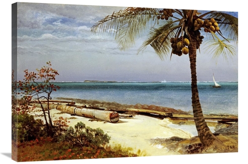 Global Gallery GCS-267712-36-142 36 in. Tropical Coast Art Print - Alb