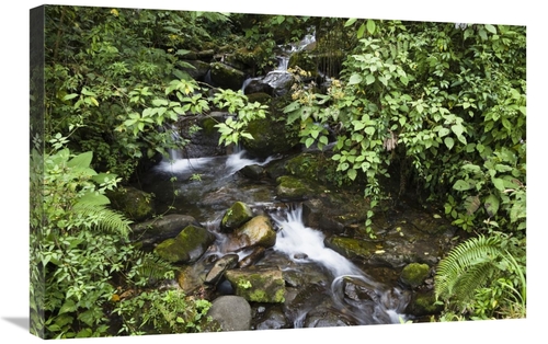 Global Gallery GCS-452664-2030-142 20 x 30 in. Creek Flowing Through R