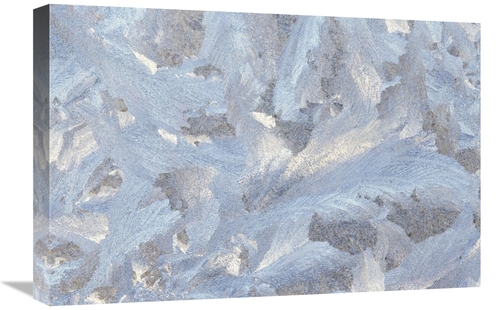 Global Gallery GCS-452845-1624-142 16 x 24 in. Frost Crystal Formation