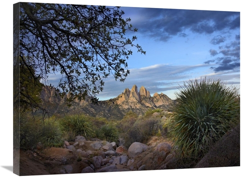 Global Gallery GCS-396177-2432-142 24 x 32 in. Organ Mountains Near La