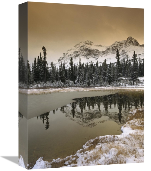 Global Gallery GCS-396921-1216-142 12 x 16 in. Canadian Rocky Mountain