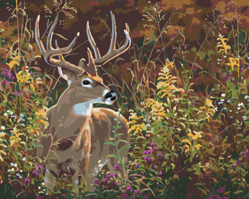 Paint by Numbers - DEER IN THE FLOWERS (ABRAHAM HUNTER)